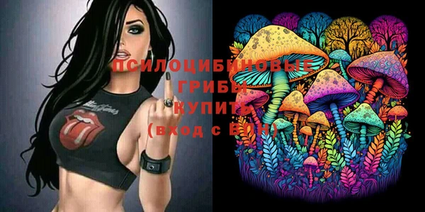2c-b Алексин
