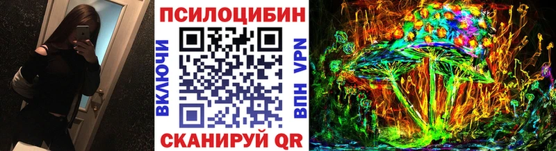 МЕГА вход  даркнет сайт  Новозыбков  Псилоцибиновые грибы мухоморы 